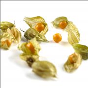 Picture Of Chinese Culinary Deserts Physalis