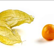 Picture Of Physalis For Chinese Deserts