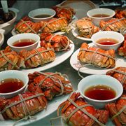 Picture Of Take Away Chinese Food